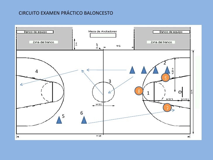 Circuito Baloncesto