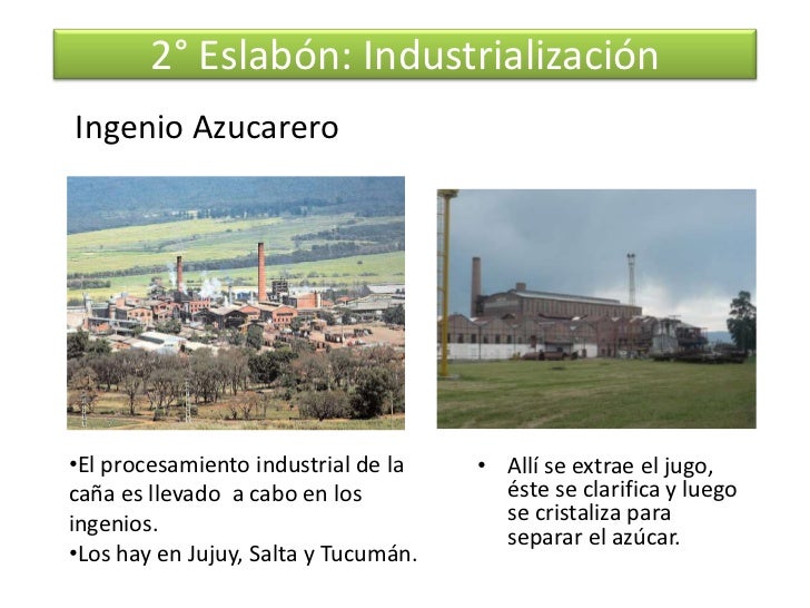 2° Eslabón: IndustrializaciónIngenio Azucarero•El procesamiento industrial de la    • Allí se extrae el jugo,caña es lleva...