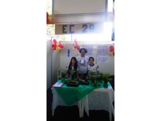 Circuito de Ciências