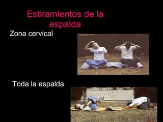 Estiramientos de la espalda Zona cervical Toda la espalda 