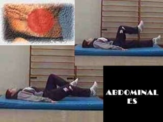 ABDOMINALES 