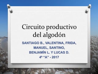 Circuito productivo
del algodón
SANTIAGO B., VALENTINA, FRIDA,
MANUEL, SANTINO,
BENJAMÍN L. Y LUCAS D.
4º “A” - 2017
 
