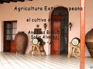 Agricultura Extrapampeana el cultivo de la vid Ana Ines Bidault Sofia Alvarez 9 &quot;A&quot; 