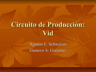 Circuito de Producción:
          Vid
     Agustín E. Schweizer
     Gustavo A. Gutierrez
 