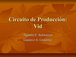 Circuito de Producción:
          Vid
     Agustín E. Schweizer
     Gustavo A. Gutierrez
 