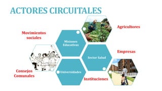 ACTORES CIRCUITALES
Universidades
Sector Salud
Misiones
Educativas
Consejos
Comunales
Agricultores
Empresas
Movimientos
sociales
Instituciones
 