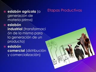  eslabón agrícola (o
generación de
materia prima)
eslabón
industrial (transformaci
ón de la misma para
la generación de un
producto)
eslabón
comercial (distribución
y comercialización)