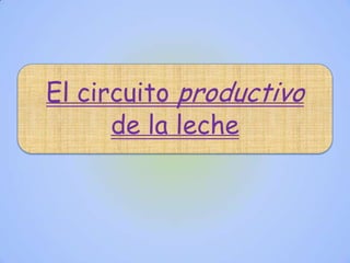 El circuito productivo
      de la leche
 