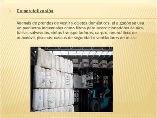 3. Comercialización
Además de prendas de vestir y objetos domésticos, el algodón se usa
en productos industriales como filtros para acondicionadores de aire,
balsas salvavidas, cintas transportadoras, carpas, neumáticos de
automóvil, piscinas, cascos de seguridad o ventiladores de mina.
 
