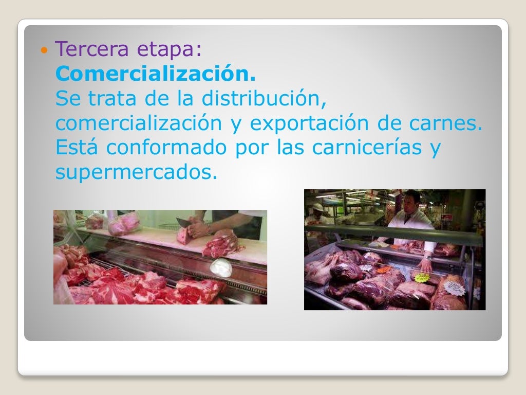 Circuito productivo de la carne