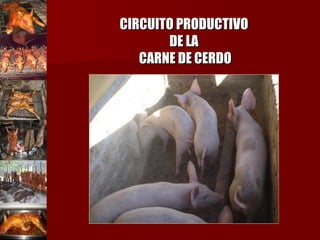 CIRCUITO PRODUCTIVO  DE LA  CARNE DE CERDO 