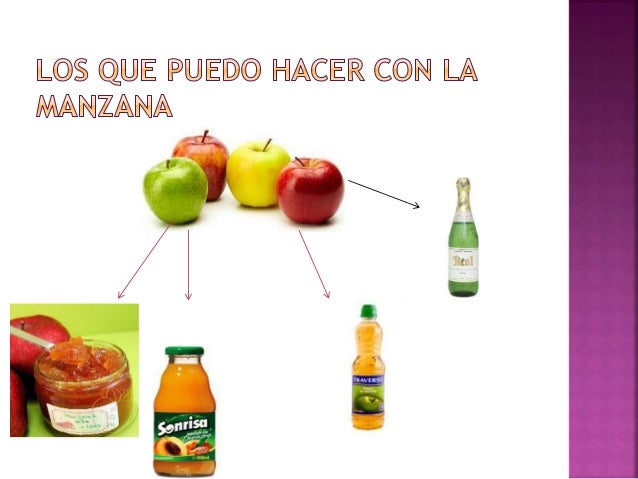 Circuito productivo de la manzana Brenda Guerra