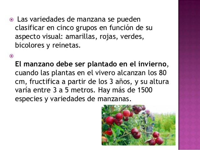 Circuito productivo de la manzana Abril y Julieta