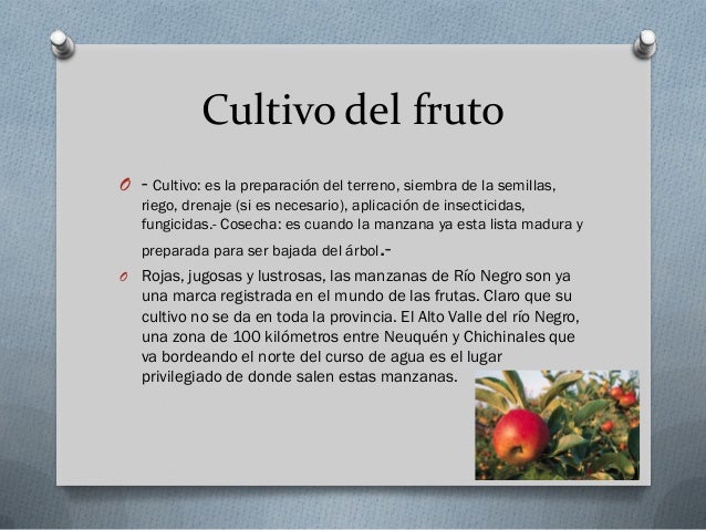 Circuito productivo de la manzana Luana y Clara
