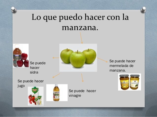 Circuito productivo de la manzana Luana y Clara