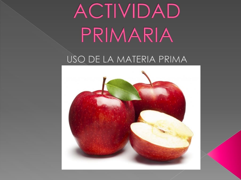 Circuito productivo de la manzana Shirel y Sasha