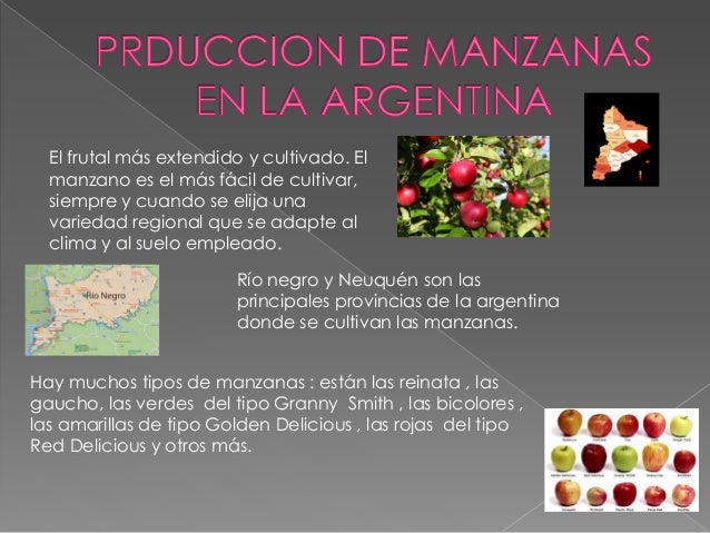 Circuito productivo de la manzana Shirel y Sasha