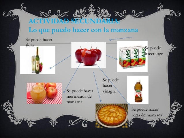 Circuito productivo de las manzanas Martina y Denisse