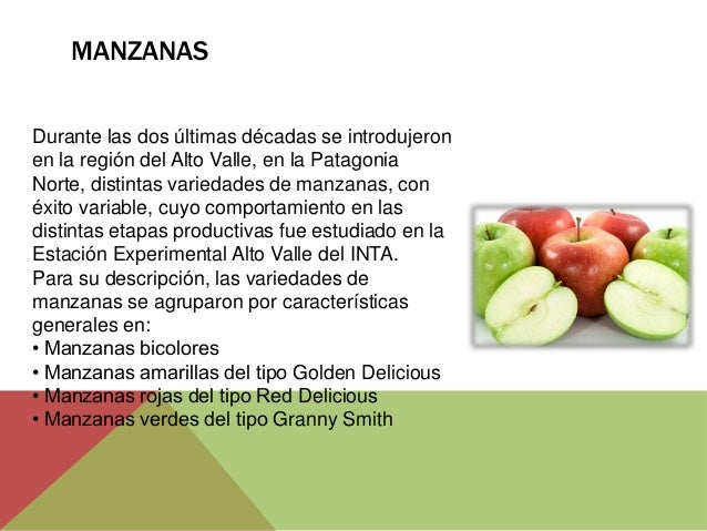 Circuito productivo de las manzanas Naomis