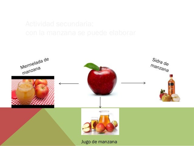 Circuito productivo de las manzanas Naomis
