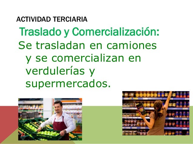 Circuito productivo de las manzanas Naomis