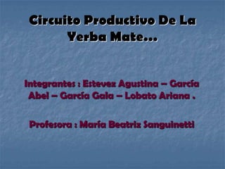 Circuito Productivo De La
       Yerba Mate…


Integrantes : Estevez Agustina – García
 Abel – García Gala – Lobato Ariana .

 Profesora : María Beatriz Sanguinetti
 