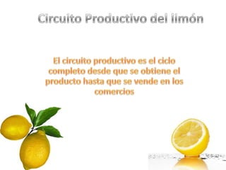 Circuito productivo del limón marcos porporato y joaquin ruffino 05 10-12 nuevo y mejor