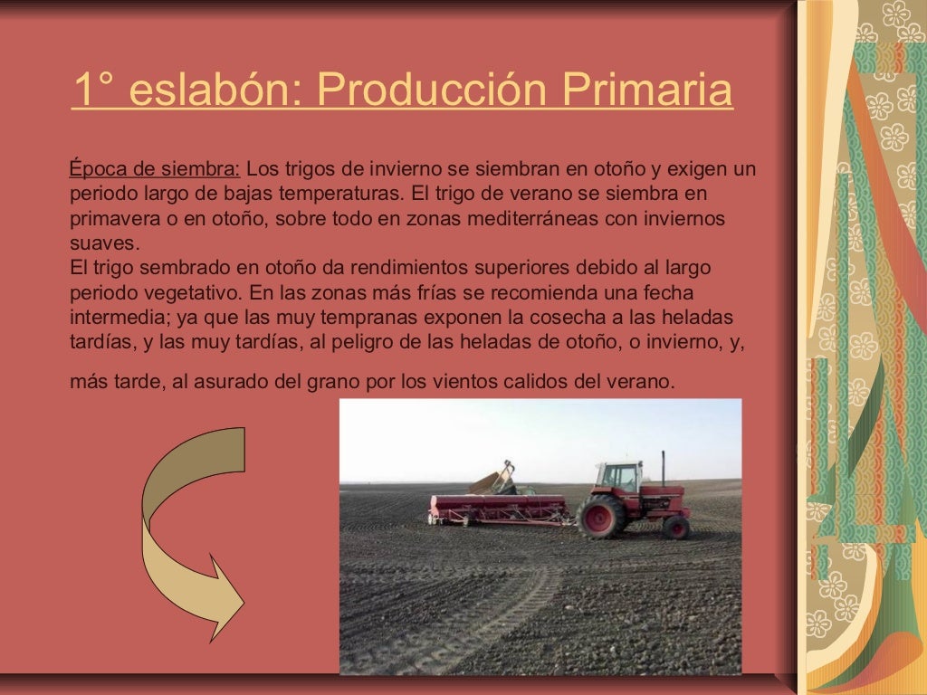 Circuito Productivo De La Harina De Trigo Circuito Productivo | My XXX ...