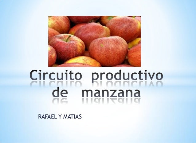 Circuito productivo de manzana rafael y matias