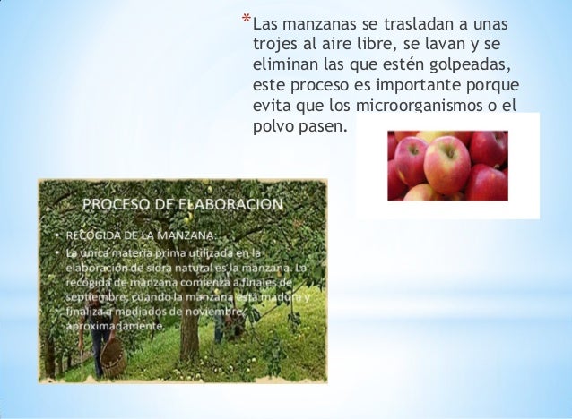 Circuito productivo de manzana rafael y matias