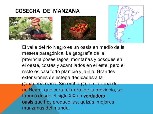 Circuito productivo de manzana Uma y Noa