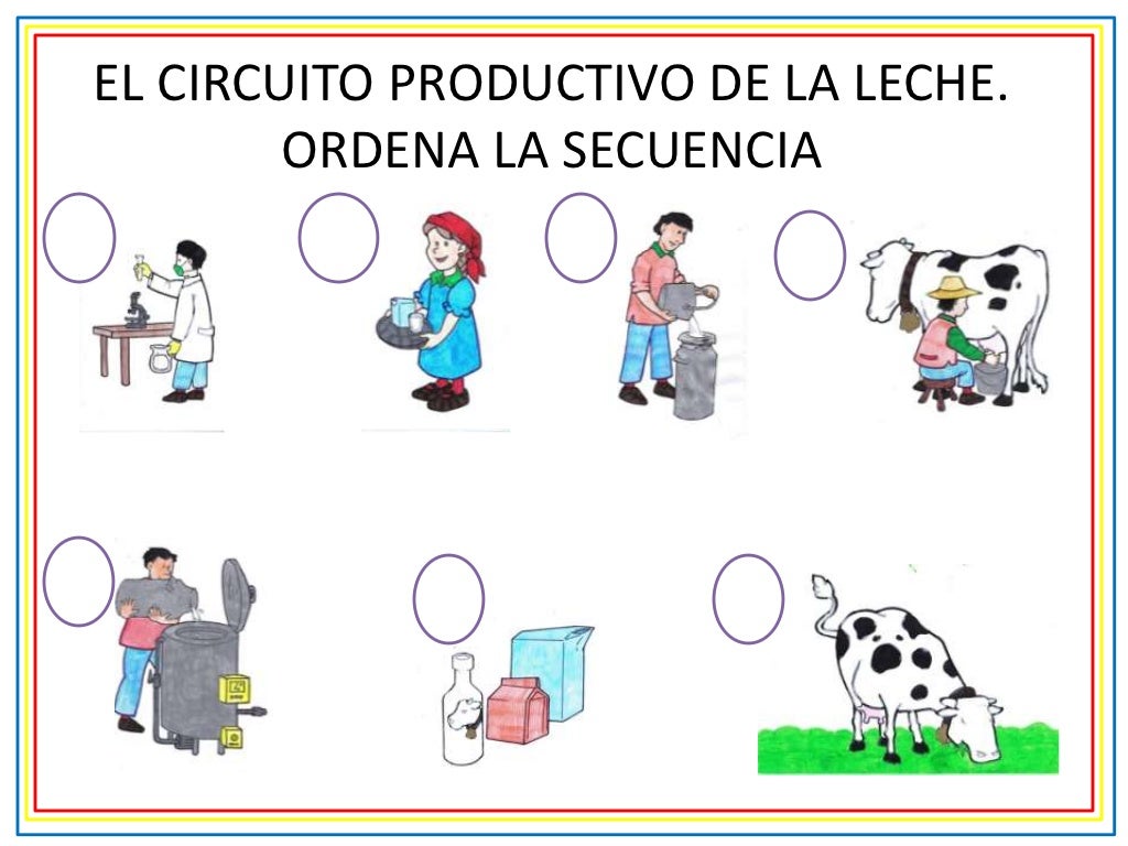 Circuito productivo para primer grado1