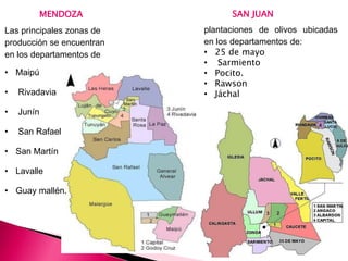 MENDOZA SAN JUAN
Las principales zonas de
producción se encuentran
en los departamentos de
• Maipú
• Rivadavia
• Junín
• San Rafael
• San Martín
• Lavalle
• Guay mallén.
plantaciones de olivos ubicadas
en los departamentos de:
• 25 de mayo
• Sarmiento
• Pocito.
• Rawson
• Jáchal
 