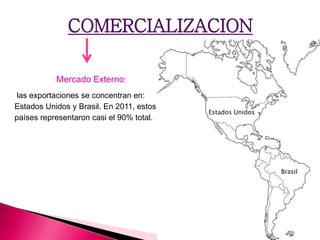 COMERCIALIZACION
Mercado Externo:
las exportaciones se concentran en:
Estados Unidos y Brasil. En 2011, estos
países representaron casi el 90% total.
Brasil
Estados Unidos
 