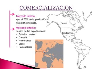 Mercado interno:
que el 75% de la producción
va a dicho mercado.
Mercado externo:
destino de las exportaciones:
• Estados Unidos.
• Canadá
• Reino Unido
• Brasil
• Países Bajos
Estados Unidos
Brasil
Canadá
 