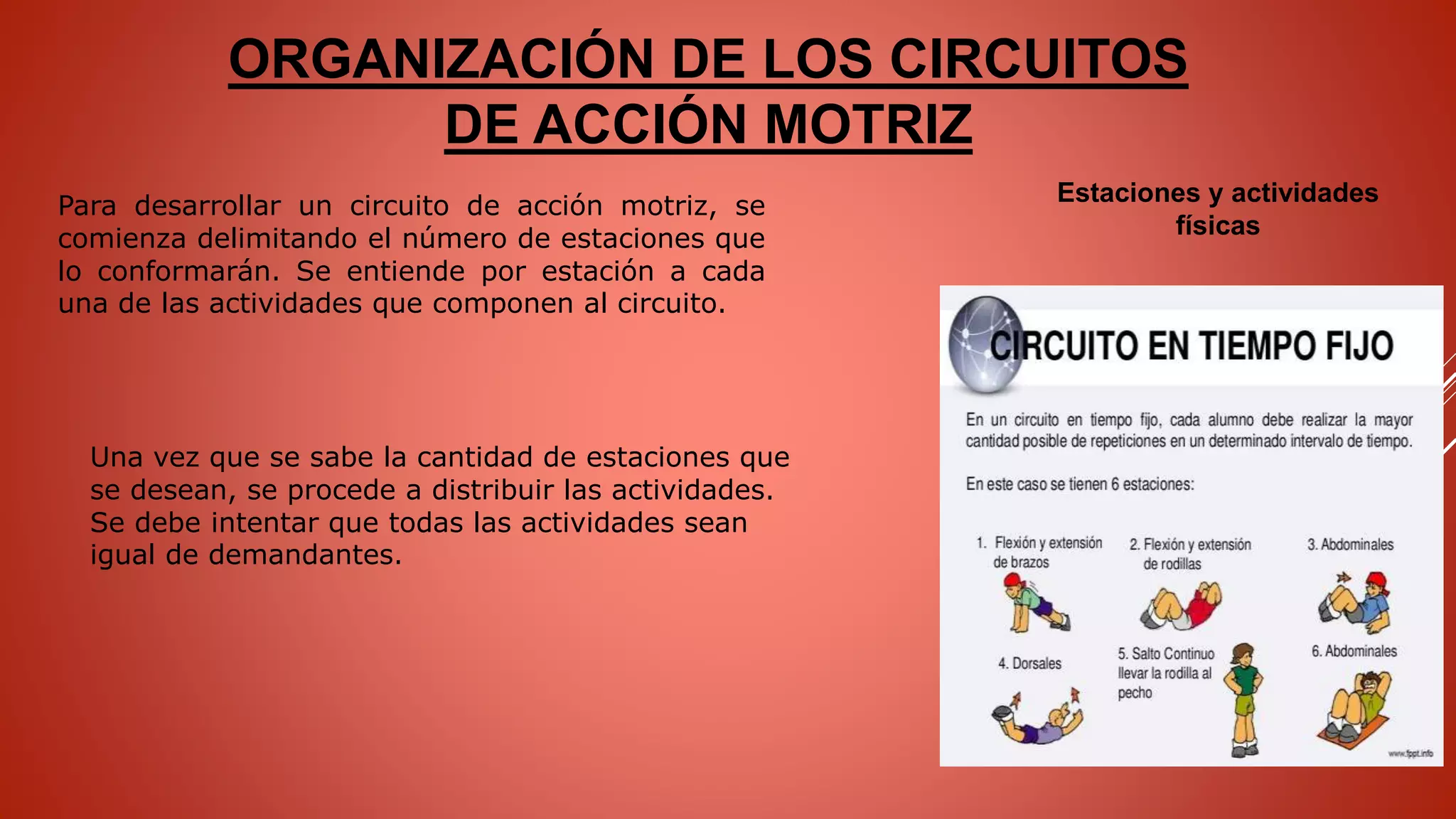 CIRCUITOS DE ACCIÓN MOTRIZ 2DO.pptx