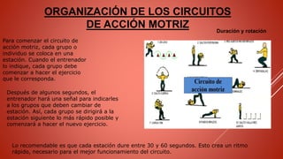ORGANIZACIÓN DE LOS CIRCUITOS
DE ACCIÓN MOTRIZ Duración y rotación
Para comenzar el circuito de
acción motriz, cada grupo o
individuo se coloca en una
estación. Cuando el entrenador
lo indique, cada grupo debe
comenzar a hacer el ejercicio
que le corresponda.
Después de algunos segundos, el
entrenador hará una señal para indicarles
a los grupos que deben cambiar de
estación. Así, cada grupo se dirigirá a la
estación siguiente lo más rápido posible y
comenzará a hacer el nuevo ejercicio.
Lo recomendable es que cada estación dure entre 30 y 60 segundos. Esto crea un ritmo
rápido, necesario para el mejor funcionamiento del circuito.
 