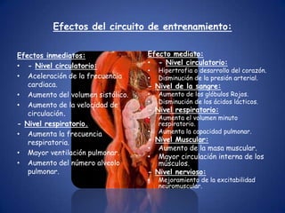 Se puede graduar la clasificación en forma individual.