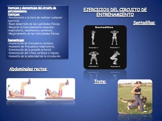 Respeta las diferencias individuales