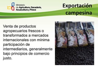 Circuitos directos de comercialización en el ecuador