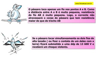 www.fisicaatual.com.br O pássaro toca apenas um fio nos pontos A e B. Como a distância entre A e B é muito pequena, resistência do fio AB é muito pequena. Logo, a corrente não atravessará o corpo do pássaro que tem resistência maior do que do trecho AB Se o pássaro tocar simultaneamente os dois fios de alta tensão ( ou fizer o contato de um deles com a terra) ficará submetido a uma ddp de 13 600 V e receberá um choque violento. 