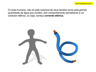 www.fisicaatual.com.br O corpo humano, não só pela natureza de seus tecidos como pela grande quantidade de água que contém, tem comportamento semelhante a um  condutor elétrico, ou seja, conduz  corrente elétrica. 