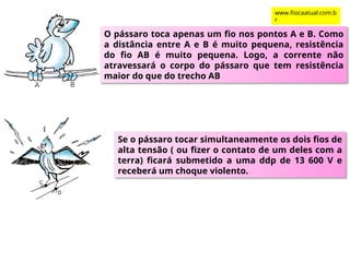 O pássaro toca apenas um fio nos pontos A e B. Como
a distância entre A e B é muito pequena, resistência
do fio AB é muito pequena. Logo, a corrente não
atravessará o corpo do pássaro que tem resistência
maior do que do trecho AB
Se o pássaro tocar simultaneamente os dois fios de
alta tensão ( ou fizer o contato de um deles com a
terra) ficará submetido a uma ddp de 13 600 V e
receberá um choque violento.
www.fisicaatual.com.b
r
 