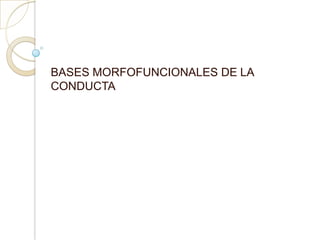 BASES MORFOFUNCIONALES DE LA
CONDUCTA
 