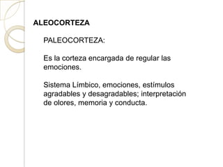 ALEOCORTEZA
PALEOCORTEZA:
Es la corteza encargada de regular las
emociones.
Sistema Límbico, emociones, estímulos
agradables y desagradables; interpretación
de olores, memoria y conducta.
 