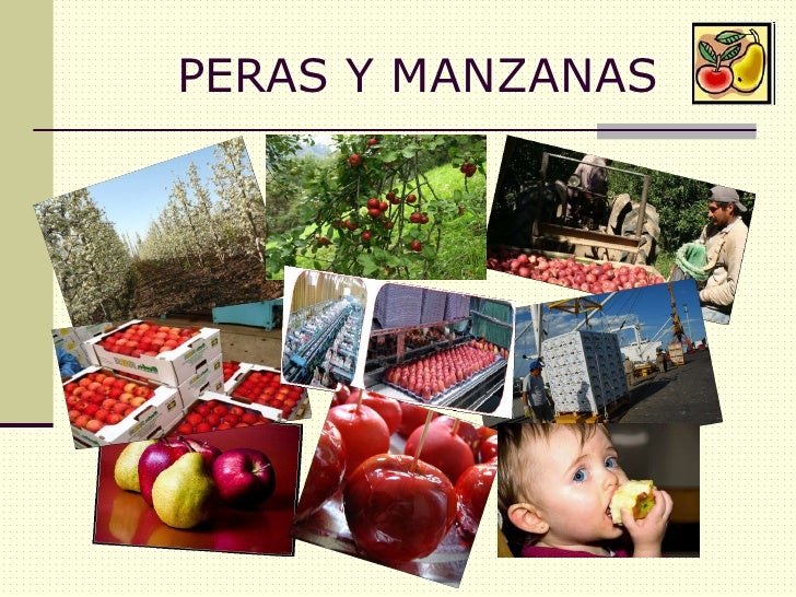 Circuitos productivos
