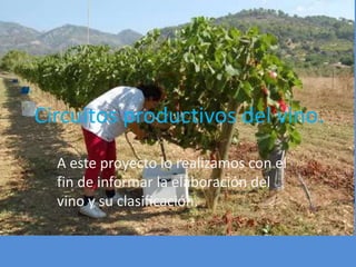 Circuitos productivos del vino.
  A este proyecto lo realizamos con el
  fin de informar la elaboración del
  vino y su clasificación.
 