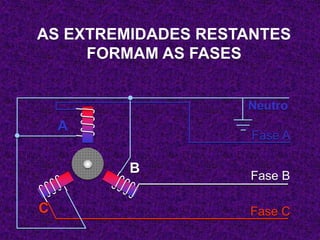 AS EXTREMIDADES RESTANTES
FORMAM AS FASES
Fase A
Fase B
Fase C
A
C
B
Neutro
 