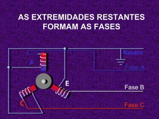 AS EXTREMIDADES RESTANTES FORMAM AS FASES Fase A Fase B Fase C A C  B Neutro 