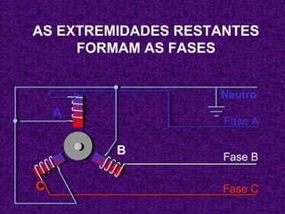 AS EXTREMIDADES RESTANTES 
FORMAM AS FASES 
Fase A 
Fase B 
Fase C 
A 
C 
B 
Neutro 
 